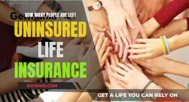 Life Insurance: Millions Left Uninsured and Unprotected