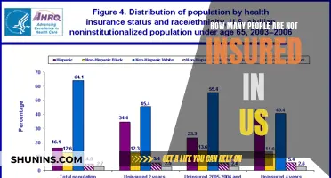 Uninsured Americans: A Large Number