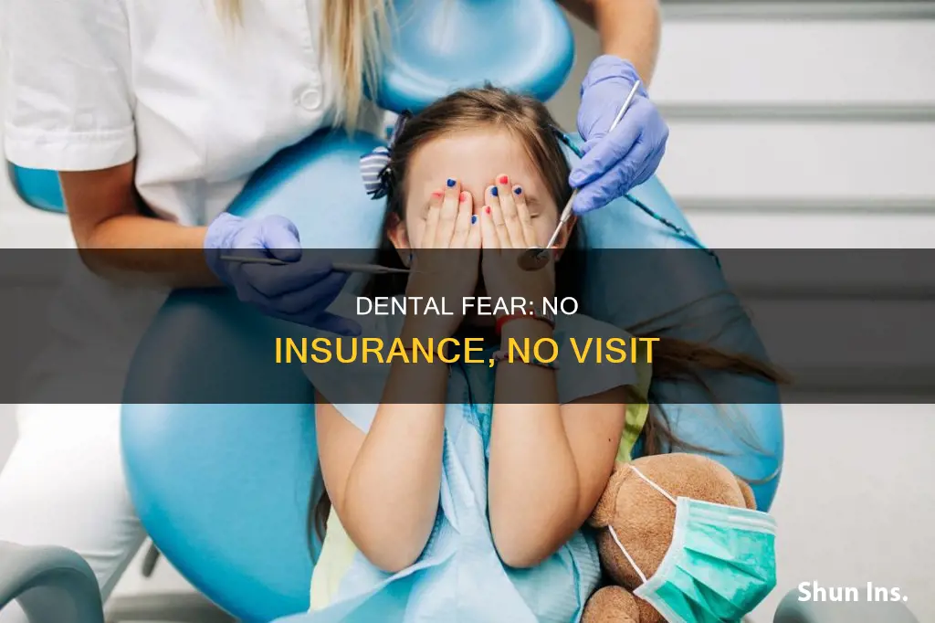 how many people avoid teh dentist because of no insurance