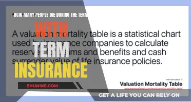 Term Insurance: Uncovering the Human Story Behind the Numbers