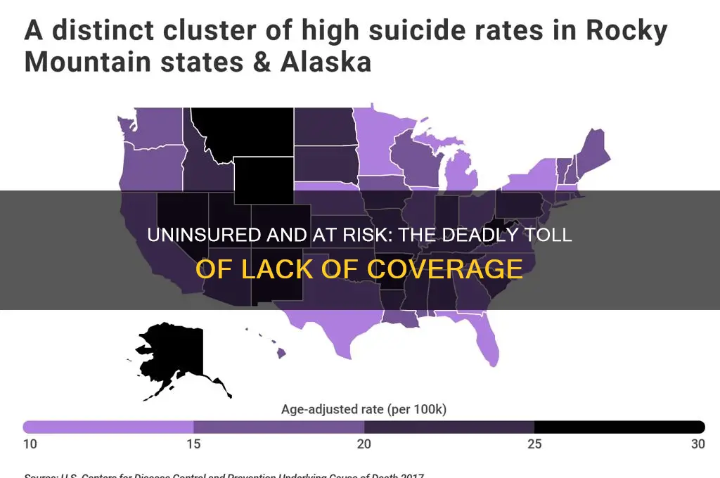 how many people died from not having health insurance