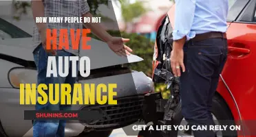 Millions Without Auto Insurance: Who and Why?