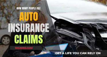 Auto Insurance Claims: How Many People File Them?