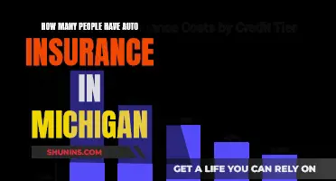 Auto Insurance in Michigan: Who's Covered?