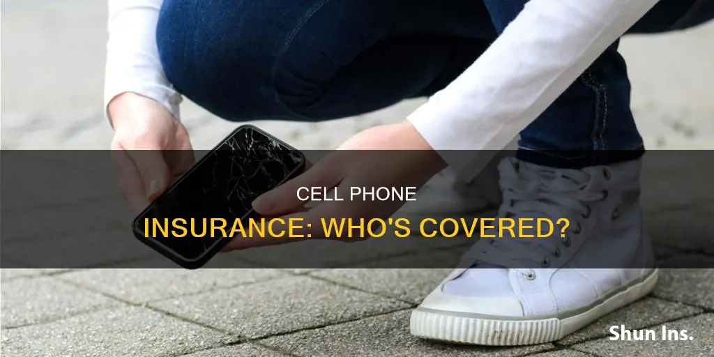 how many people have cell phone insurance