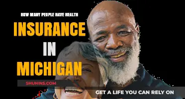 Michigan Health Insurance Coverage: How Many Residents Are Protected?