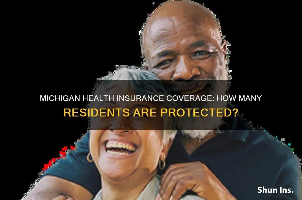 how many people have health insurance in michigan