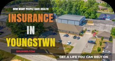 Youngstown's Health Insurance Coverage: How Many Residents Are Protected?