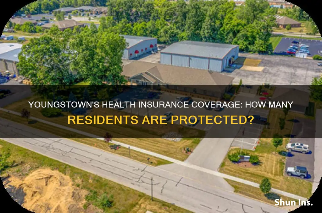 how many people have health insurance in youngstwn