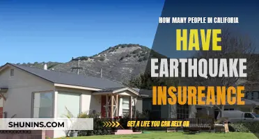 Earthquake Insurance: California's Rare Coverage