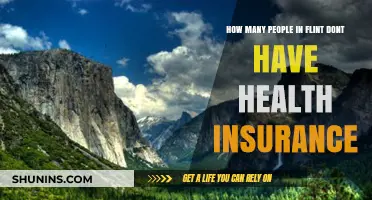 Uninsured in Flint: Understanding the Lack of Health Coverage Crisis