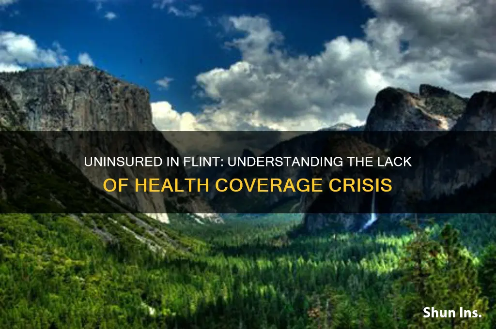 how many people in flint dont have health insurance