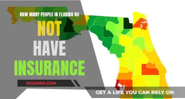 Florida's Uninsured: Who's Left Out?