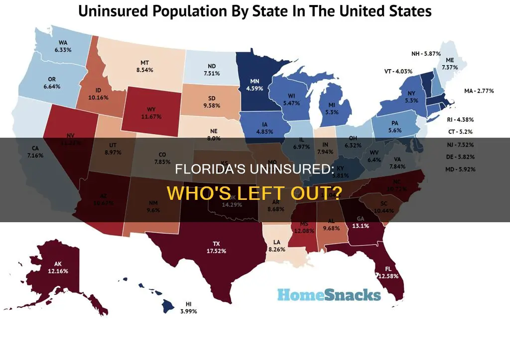 how many people in Florida do not have insurance