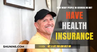 Georgia's Uninsured: Understanding the Scope of Health Coverage Gaps