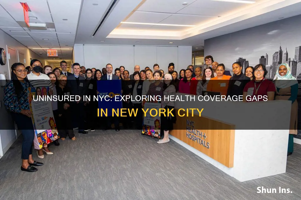 how many people in new york don