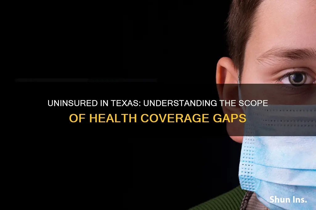 how many people in texas do not have health insurance