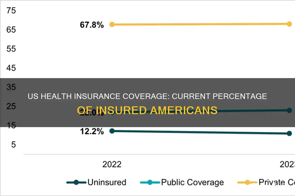 how many people in the us have health insurance percantage