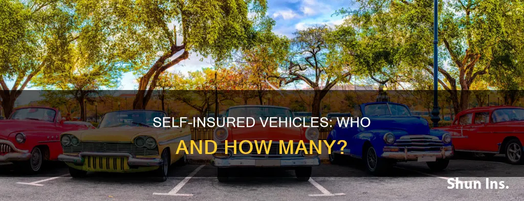 how many people self insure their automobiles