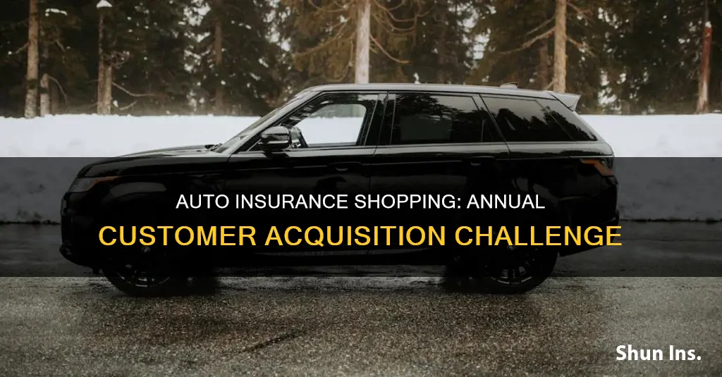 how many people shop for auto insurance each year