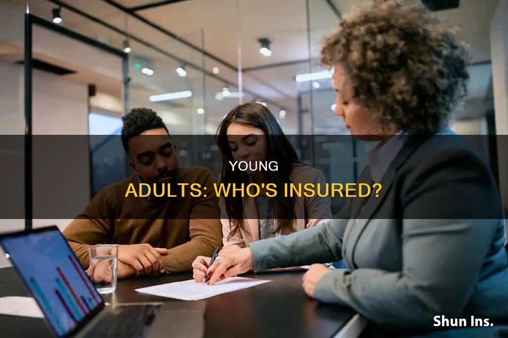 how many people under 30 are insured