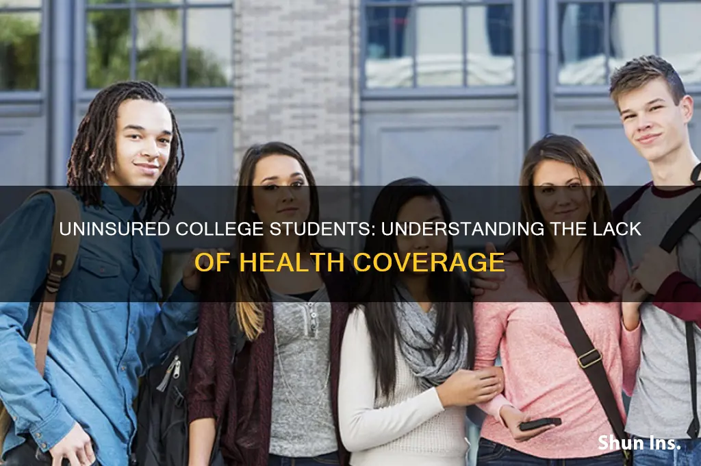how many percent college student with no health insurance