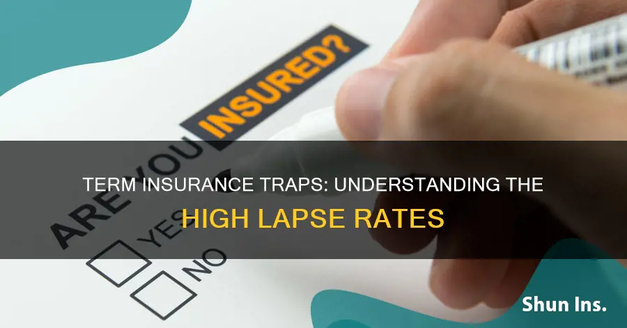 how many percent of term insurance lapse