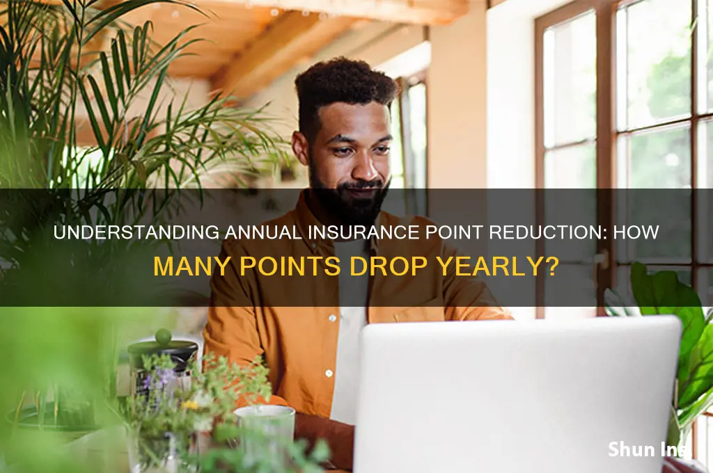 how many points come off insurance per year