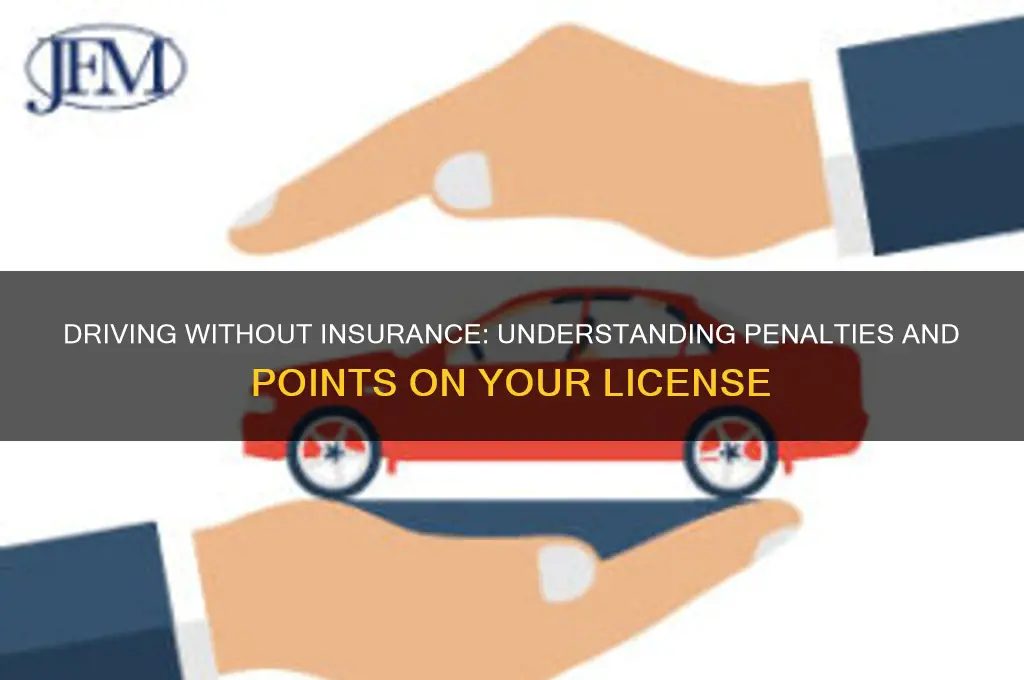 how many points for driving with no insurance