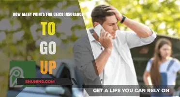 Geico Insurance: Points and Premium Increases Explained