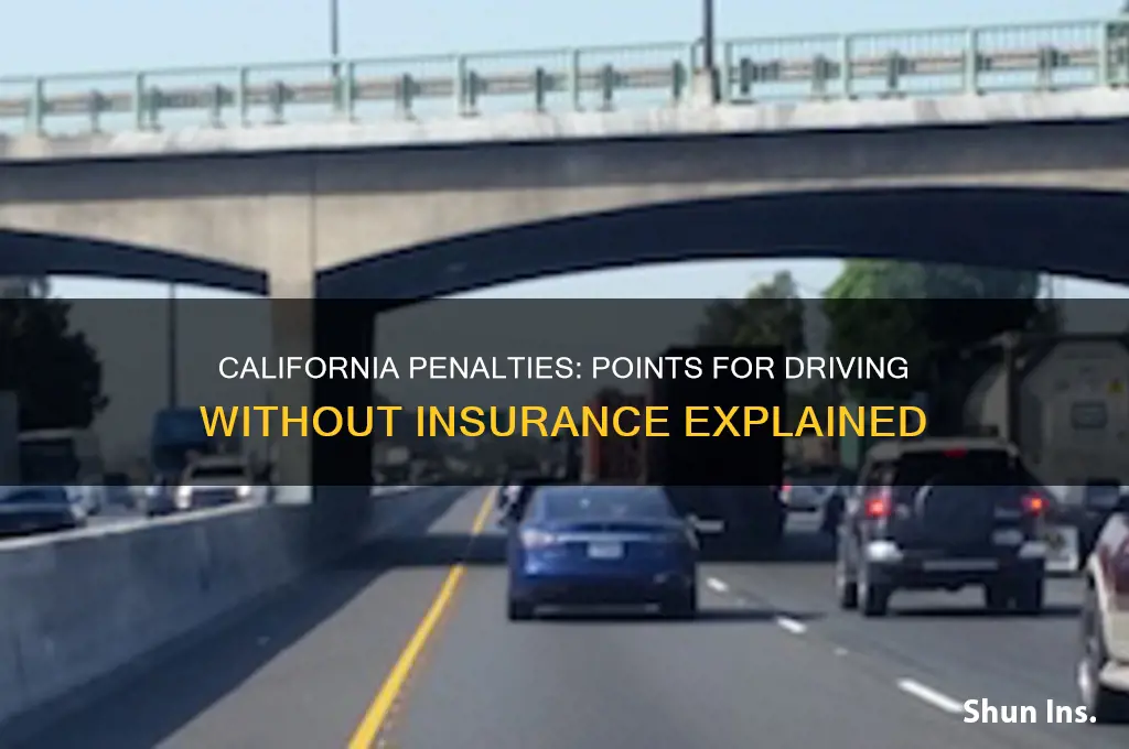 how many points for no insurance in california