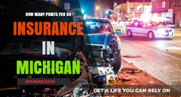 Driving Without Insurance in Michigan: Points and Penalties Explained