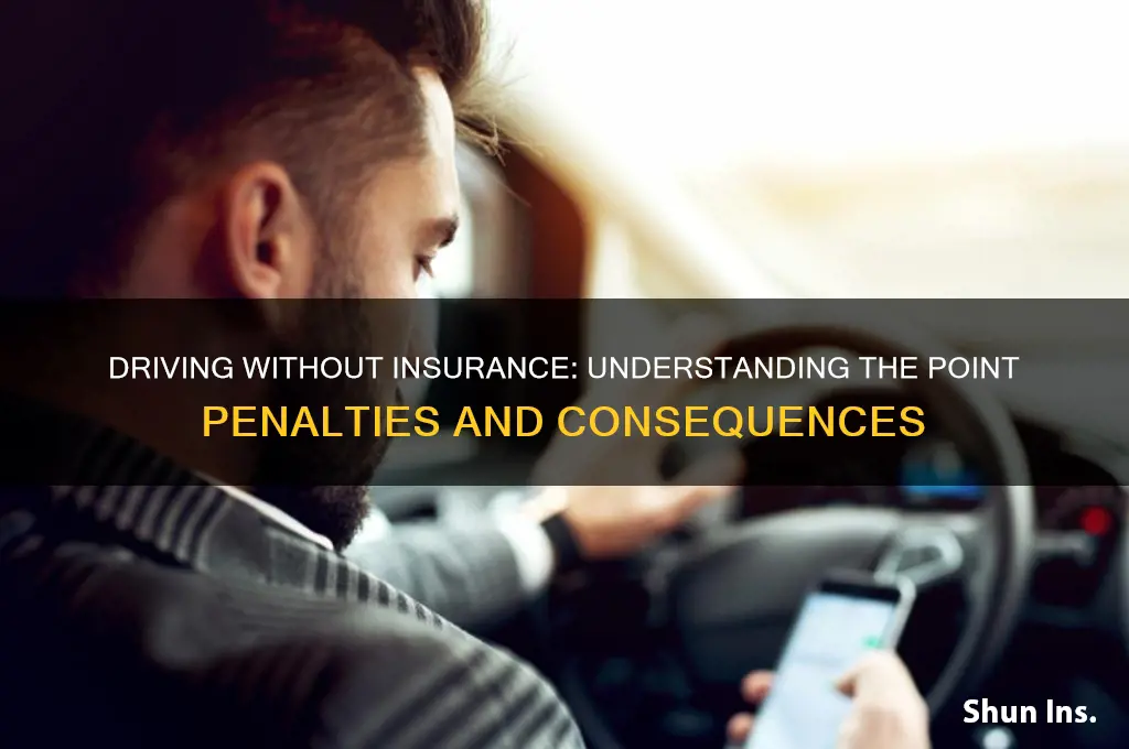 how many points is it for no insurance