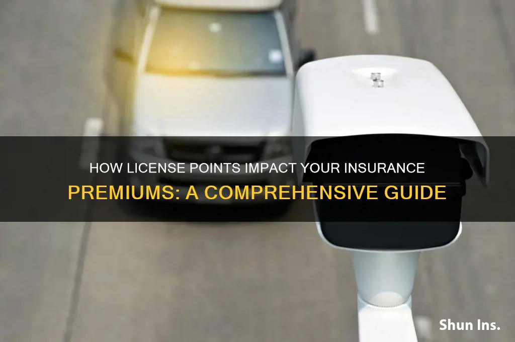 how many points on licence cause insurance to raise