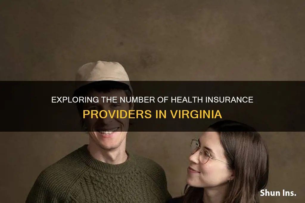 how many providers are there for health insurance in va