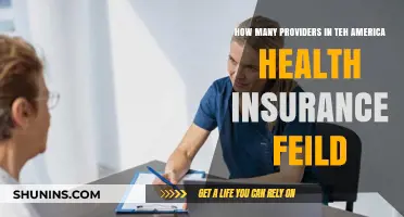 Exploring the Vast Landscape of Health Insurance Providers in America