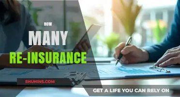 Understanding Re-Insurance: How Many Policies Do You Really Need?