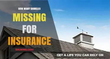 Missing Shingles and Insurance Claims: What’s the Threshold for Coverage?