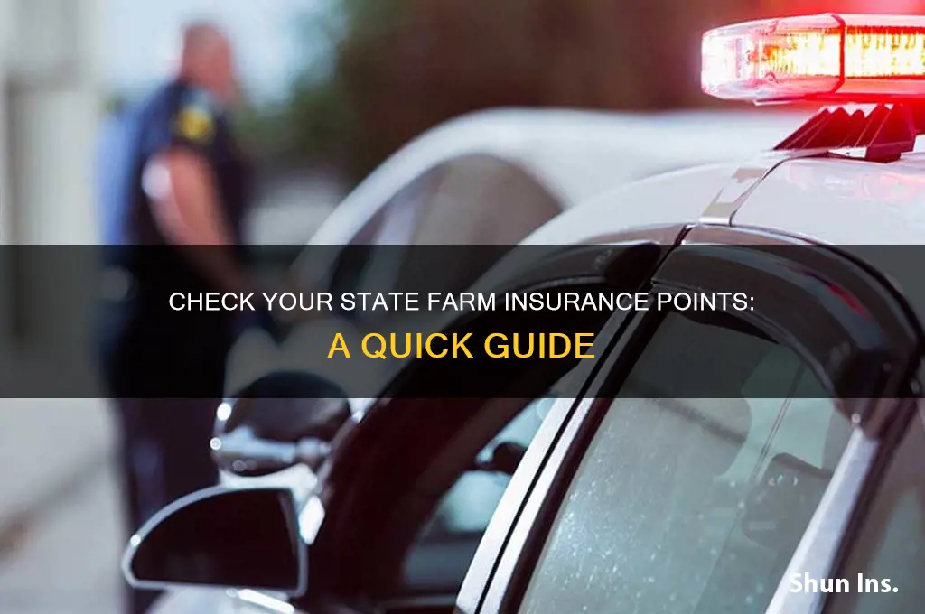 how many statefarm insurance points do i have
