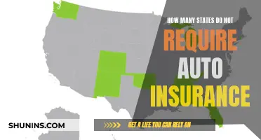 Auto Insurance: Which States Don't Require It?