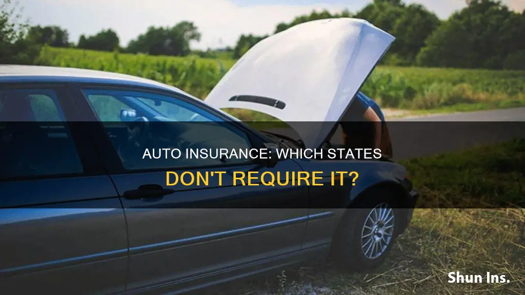 how many states do not require auto insurance