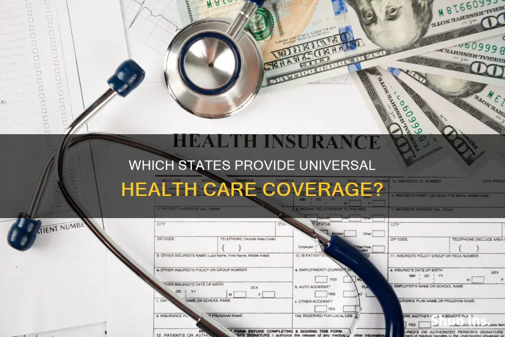 how many states have state medical insurance