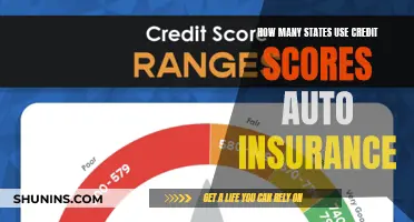 Credit Scores and Auto Insurance: State-by-State Impact