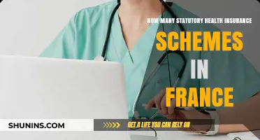 Exploring France's Statutory Health Insurance Schemes: A Comprehensive Overview