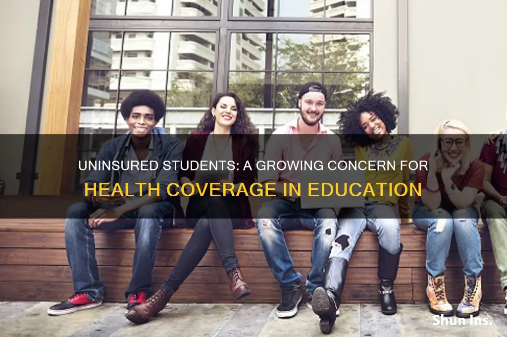 how many students lack health insurance