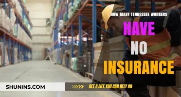 Uninsured Tennessee Workers: A Growing Concern for the State's Workforce