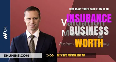 Valuing Insurance Businesses: Cash Flow Multiples