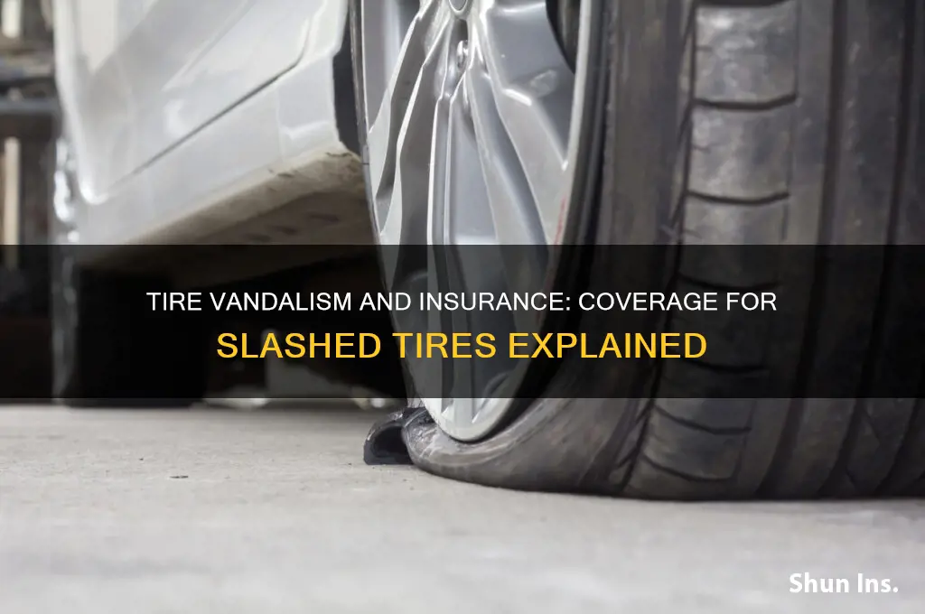 how many tires slashed insurance