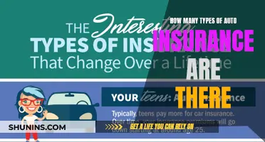 Auto Insurance Types: How Many Are There?