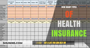 Understanding the Diverse Types of Health Insurance Plans Available